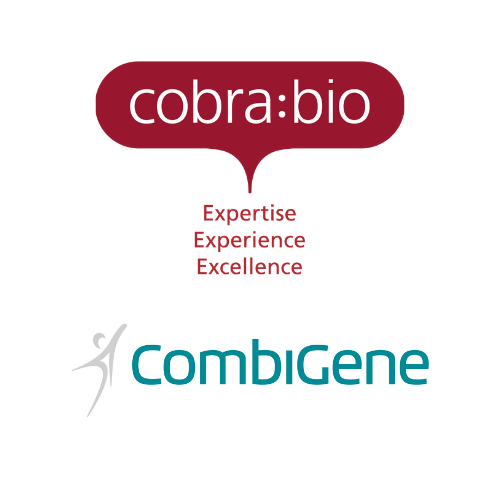 Cobra Biologics successfully completes key milestone in CombiGene’s epilepsy project CG01 with delivery of first DNA plasmid