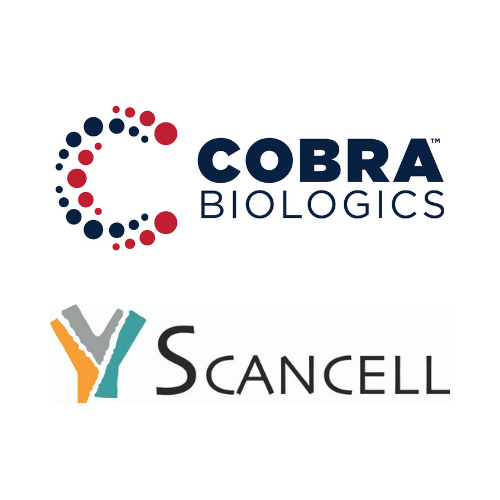Cobra Biologics selected to manufacture plasmids for clinical trial of Scancells COVID-19 vaccine