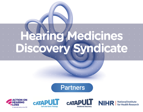 Hearing Medicines Discovery Syndicate launches to fast-track the development of hearing therapeutics