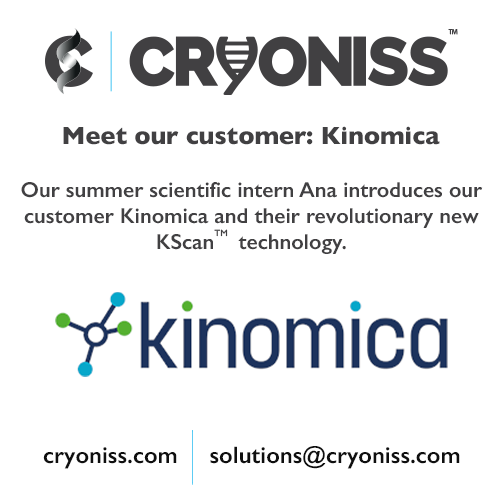 Meet our customer: Kinomica Ltd.