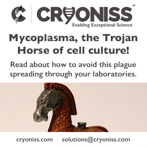 Mycoplasma, the Trojan Horse of cell culture!