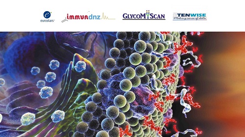Immundnz awarded Eurostars grant project to advance glyco-immunology research