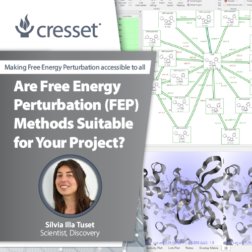 Are Free Energy Perturbation (FEP) methods suitable for your project?