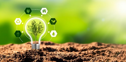Building a Sustainability Strategy for your Export Business